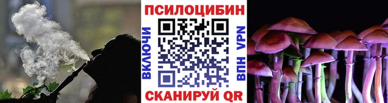 Псилоцибиновые грибы GOLDEN TEACHER  купить   Озёры 